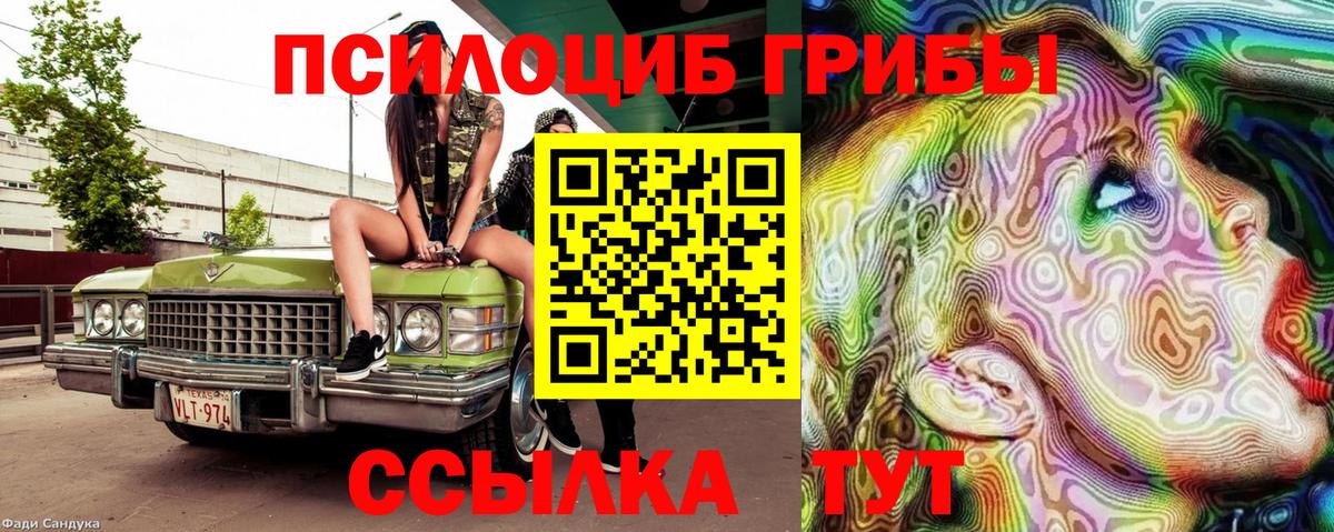 Псилоцибиновые грибы GOLDEN TEACHER  Вход с VPN  Кизилюрт  Псилоцибиновые грибы Cubensis 