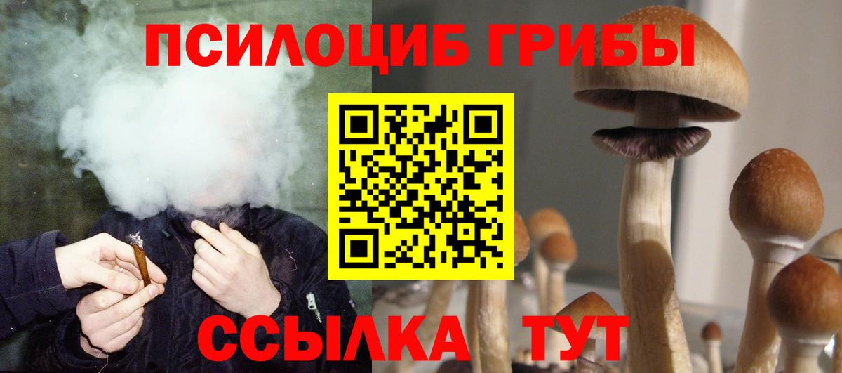 Псилоцибиновые грибы MAGIC MUSHROOMS Кизилюрт